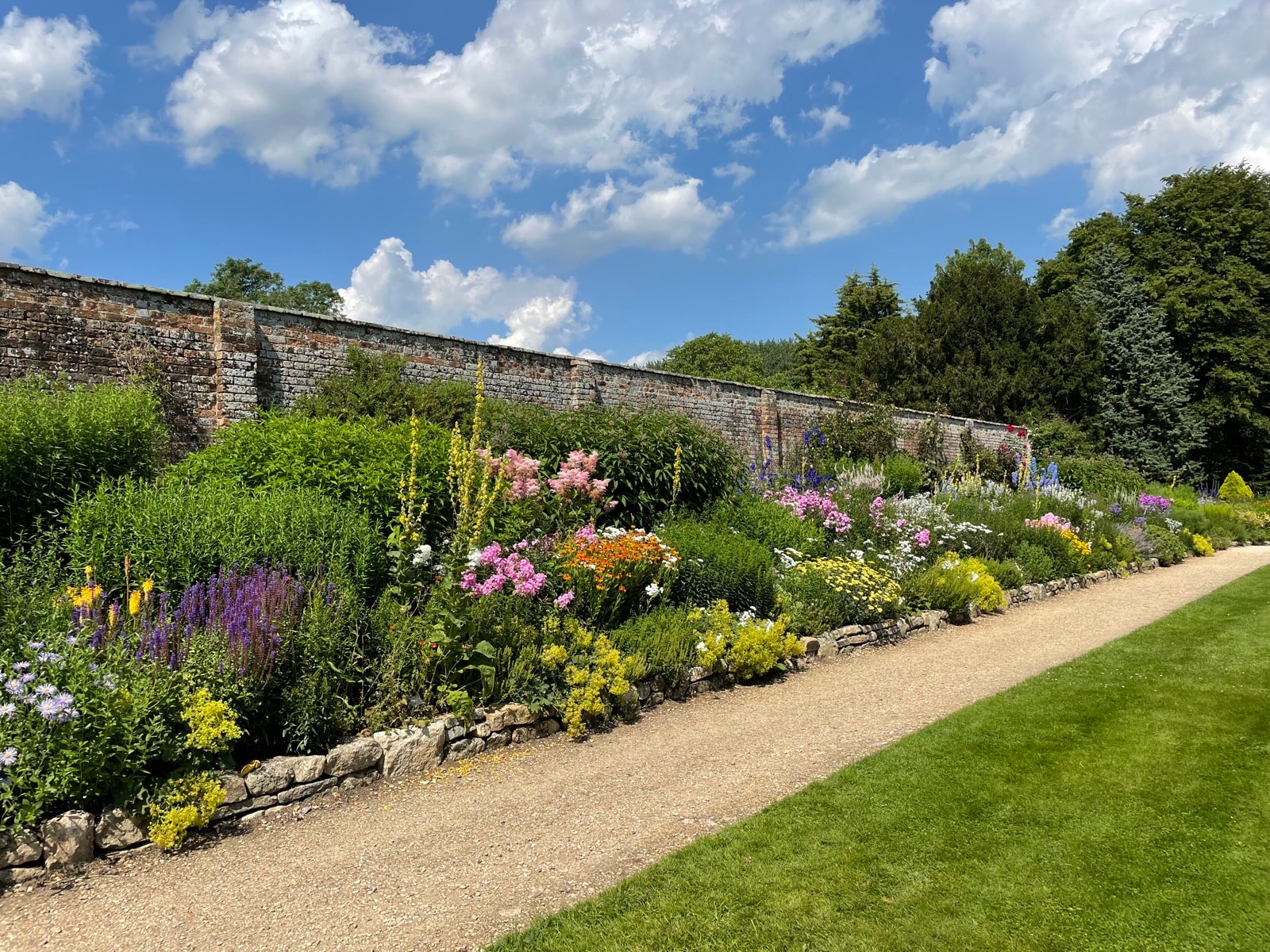 Sunlit flower border along a stone wall beside a gravel path and lawn