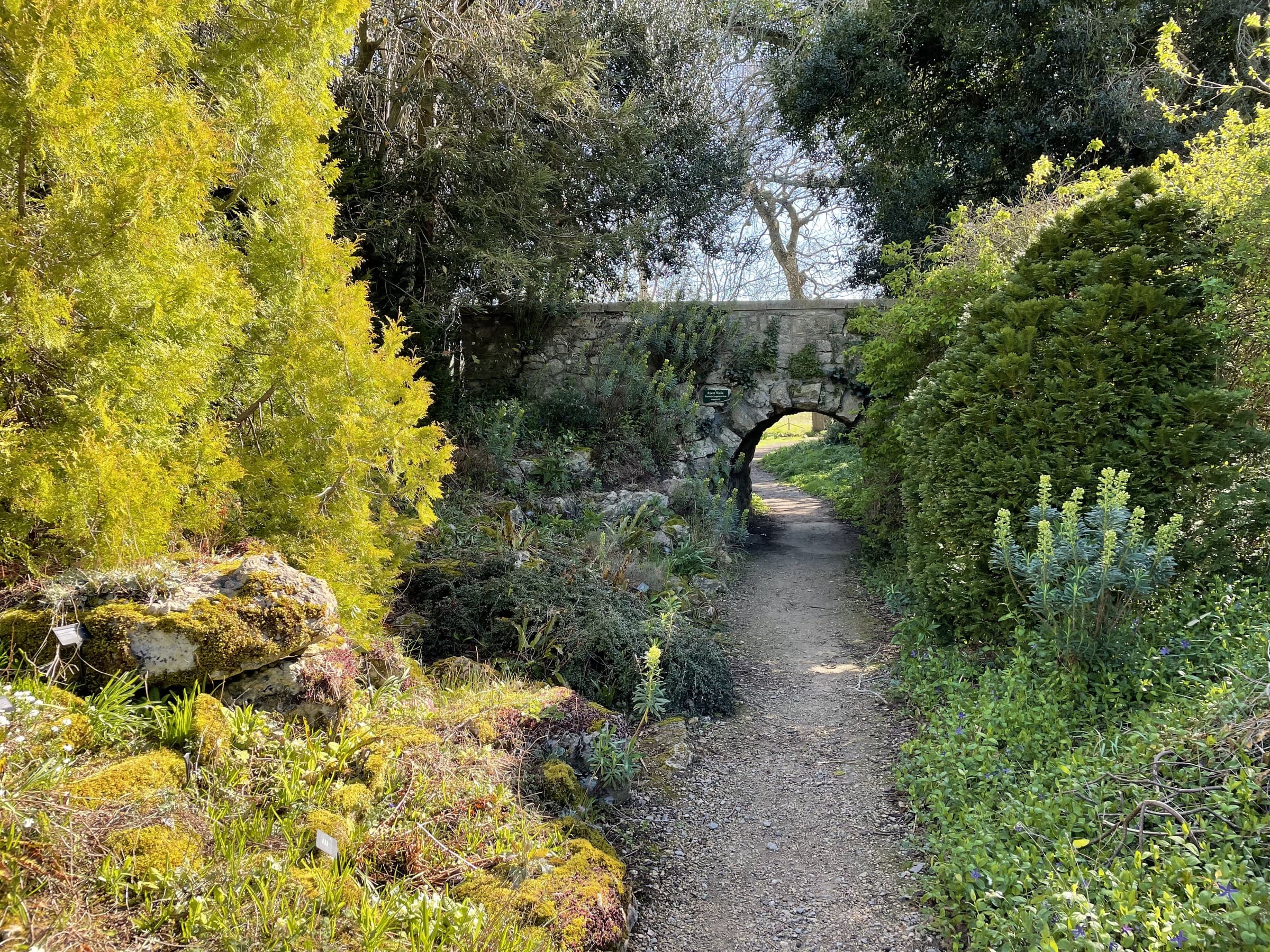 A gravel garden path at Waterperry, edged with planting and leading toward mature trees