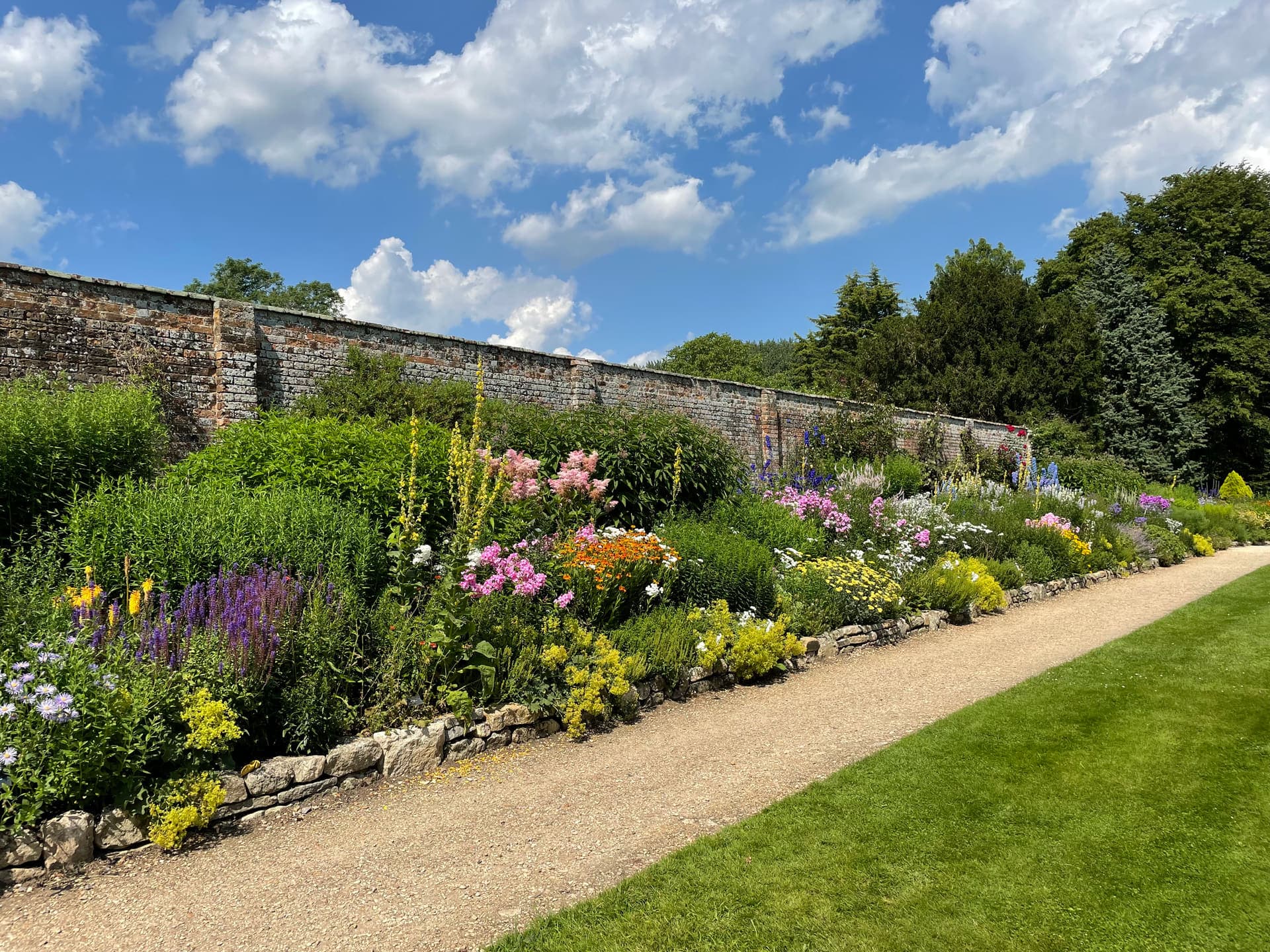 Herbaceous flower border in bloom beside a gravel path and stone wall under a bright summer sky