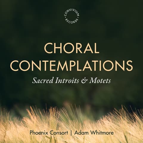 Choral Contemplations album cover